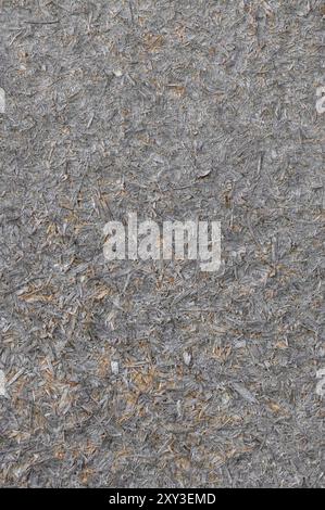 Old natural aged weathered oriented strand board OSB chipboard texture, grungy grey horizontal pattern, vertical rustic macro closeup, large detailed Stock Photo