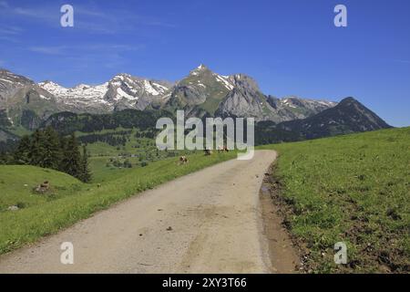 Scene in the Toggenburg valley, Switzerland. Nature background Stock Photo