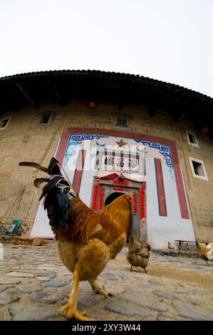 The big Tulou buildings in the Yongding region of Nanjing county in Fujian. Stock Photo