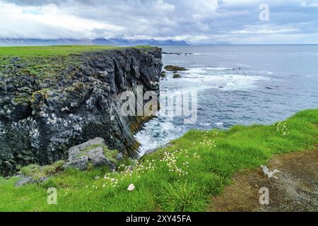 Bird cliffs at the seaside near Arnarstapi Village in Snaefellsnes Penisula Iceland in summer Stock Photo