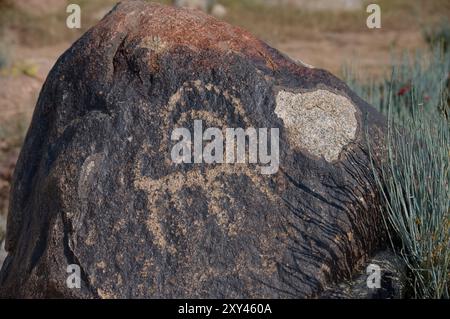 Open-air petroglyph museum in Kyrgyzstan Stock Photo