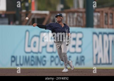 New York Yankees Roderick Arias (84) during an MLB Spring Training ...