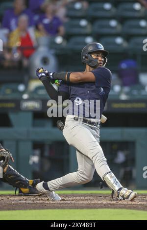 New York Yankees Roderick Arias (84) during an MLB Spring Training ...