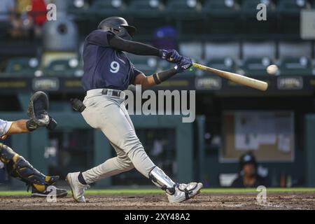 New York Yankees Roderick Arias (84) at bat during an MLB Spring ...