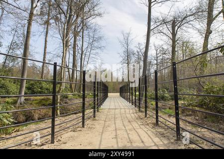 Walkway with new metal bridge in european forest Stock Photo