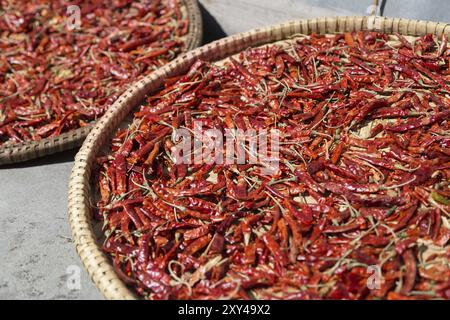 Chili on plates drying in the sun on the Annapurna Circuit in Nepal Stock Photo