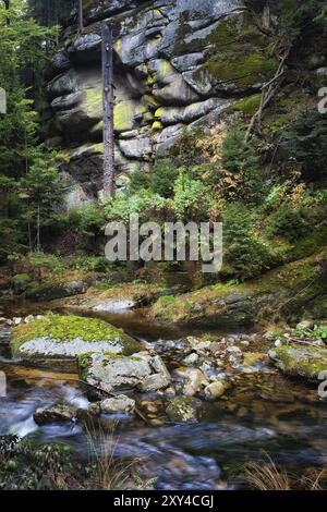 Europe, Poland, Sudetes, Karkonosze Mountains, stream below the mountain cliff in autumn forest, Europe Stock Photo