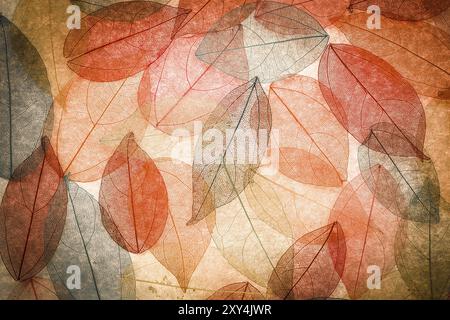 Abstract autumn background. Beautiful leaves texture Stock Photo