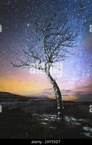 Winter night landscape lonely tree standing in a mountain lowland against the backdrop of the northern milky way and orange city lights on the horizon Stock Photo