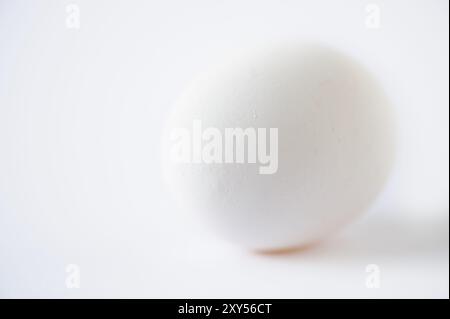 Single, white hen's egg against a white background Stock Photo