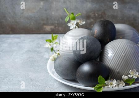 Elegant Black and gray Decorative Eggs with cherry blossom branch Stock Photo