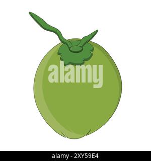 Green coconut vector graphics, Young coconut water icon. Summer coconut cocktail. Vector illustration of tropical exotic fruits in flat style. Stock Vector