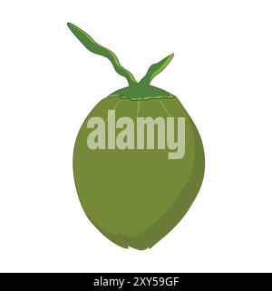 Green coconut vector graphics, Young coconut water icon. Summer coconut cocktail. Vector illustration of tropical exotic fruits in flat style. Stock Vector