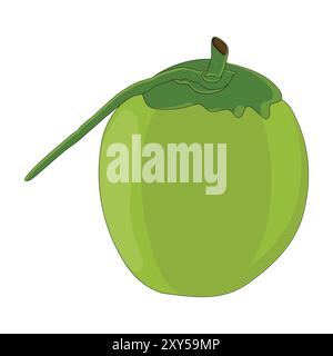 Green coconut vector graphics, Young coconut water icon. Summer coconut cocktail. Vector illustration of tropical exotic fruits in flat style. Stock Vector