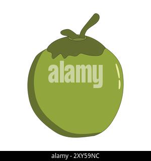 Green coconut vector graphics, Young coconut water icon. Summer coconut cocktail. Vector illustration of tropical exotic fruits in flat style. Stock Vector
