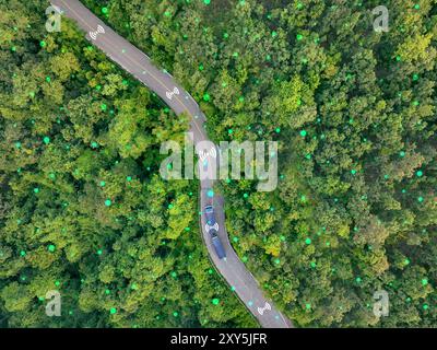 Aerial top view of driverless hydrogen-powered truck driving on highway through green forest. Sustainable transport. Autonomous vehicle. Green Stock Photo