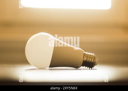 White light bulb lying on a desk, concept for ideas. Sunlight Stock Photo