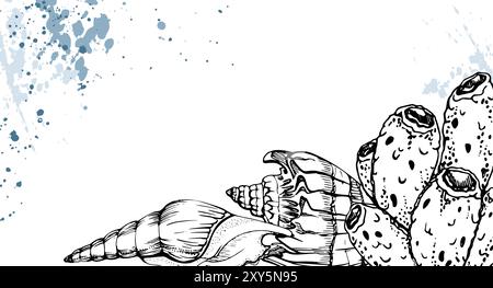 Marine life, sea ocean underwater creatures fish, shells algae seaweed, Ink and pen sketch hand drawn. Border frame illustration, stylized, isolated Stock Vector