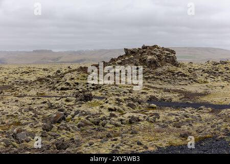 Eldhraun Lava Field (Mossy Lava Fields) in Southern Iceland, frozen basaltic lava covered with green woolly fringe moss Stock Photo