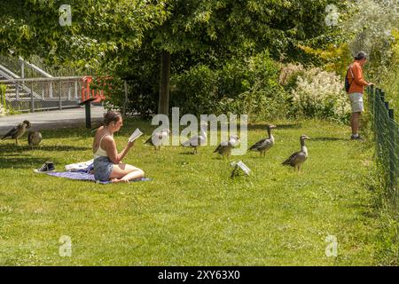 Paris, France - 07 20 2024: Clichy-Batignolles Martin Luther King Park. view of a group of geese and a woman reading a book in the park lawn Stock Photo