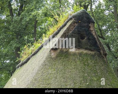 Close-up of an old thatched roof covered with moss, Bad Zwischenahn, ammerland, germany Stock Photo