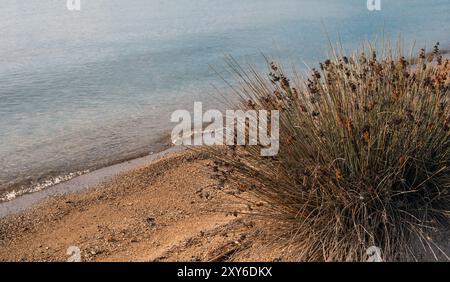 Rippled sea, closeup view of sandy beach with small pebbles at sunset. Greece nature Stock Photo