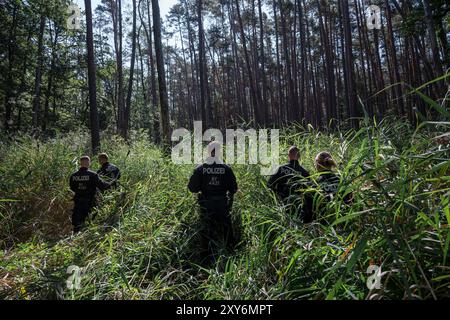 Hallerndorf, Germany. 28th Aug, 2024. Police officers from the riot police run through a forest looking for a missing person. The 33-year-old has been missing since August 1. Over 100 tips received are currently being checked. Credit: Daniel Vogl/dpa/17�Թ����� Live News Stock Photo