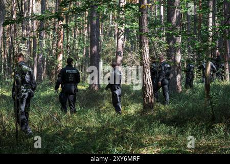 Hallerndorf, Germany. 28th Aug, 2024. Police officers from the riot police run through a forest looking for a missing person. The 33-year-old has been missing since August 1. Over 100 tips received are currently being checked. Credit: Daniel Vogl/dpa/17�Թ����� Live News Stock Photo