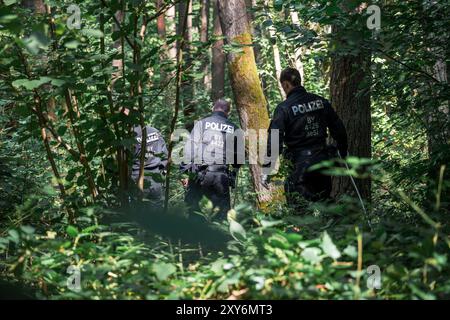 Hallerndorf, Germany. 28th Aug, 2024. Police officers from the riot police run through a forest looking for a missing person. The 33-year-old has been missing since August 1. Over 100 tips received are currently being checked. Credit: Daniel Vogl/dpa/17�Թ����� Live News Stock Photo