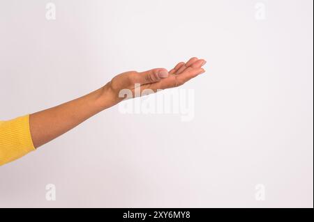 Hand of businesswoman showing copy space for advertising new product on isolated white background Stock Photo