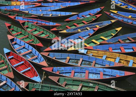 Multi colored rowing boats on Fewa lake, Pokhara Stock Photo - Alamy