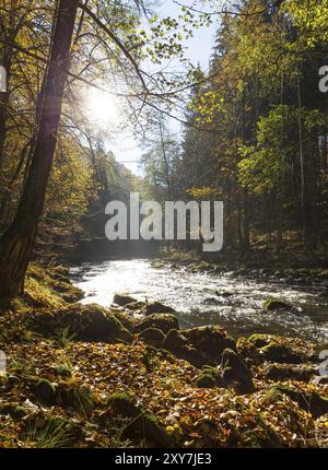 Fluss Ilz im Bayerischen Wald, Fluss Ilz im Bayerischen Wald Stock Photo