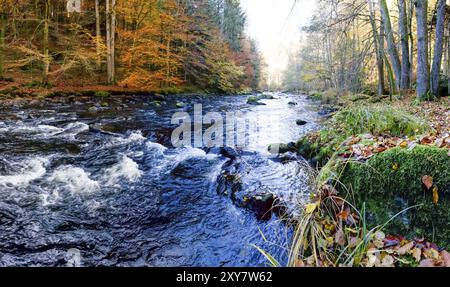 Fluss Ilz im Bayerischen Wald, Fluss Ilz im Bayerischen Wald Stock Photo