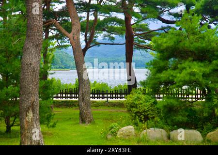 Goseong County, South Korea - July 28, 2024: A tranquil view of Hwajinpo Lake framed by tall pine trees as seen from the grounds of Lee Ki-Poong’s Vil Stock Photo