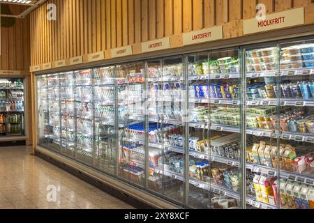 View of dairy section in supermarket with refrigerated displays showcasing various dairy products through glass. Stock Photo