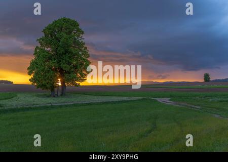 Broumov basin, Eastern Bohemia, Czech Republic Stock Photo