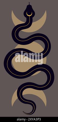 Snake and moon phases. Esoterics. Black silhouette of a snake. Vector illustration. Stock Vector