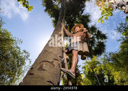 A farmer harvesting sugar palm nectar, Kampong Chhnang, Cambodia. Stock Photo