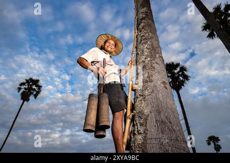 A farmer harvesting sugar palm nectar, Kampong Chhnang, Cambodia. Stock Photo