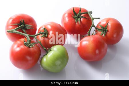 Red tomatoes with white background. Fresh Harvested Bright Red Tomatoes Stock Photo