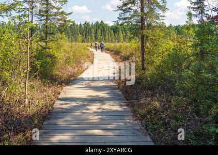 Visitors enjoy a hike along the picturesque  Spruce Bog Boardwalk Trail within Algonquin Provincial Park. Stock Photo