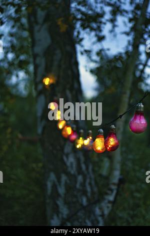String of lights hanging on the tree. Garden party. Romantic place. Colorful light bulbs. Evening atmosphere, festive mood. Weekend, vacation or every Stock Photo