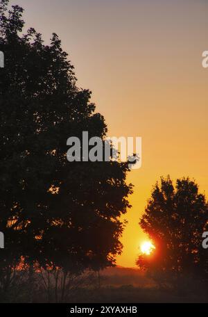 Sunset. The sun shines between the trees in the golden light. Autumn mood. Landscape photo from nature Stock Photo