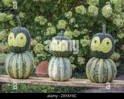 Three stacked pumpkins with painted faces in a garden as autumnal decoration on a wooden board, borken, muensterland, Germany, Europe Stock Photo