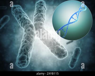 Conceptual image of a telomere showing DNA structure. A telomere is a region of the DNA sequence at the end of a chromosome. Their function is to prot Stock Photo