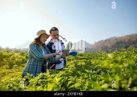 Indonesian farmers people are holding a tablet in a chili field. The woman is wearing a blue shirt and a hat Stock Photo