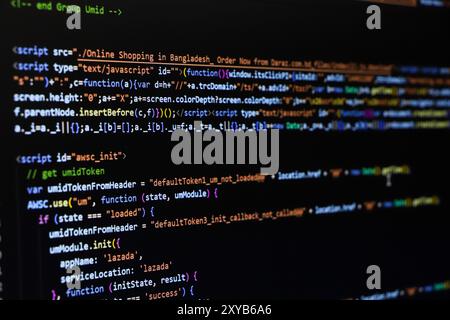 Software source code. Programming code. Programming code on computer screen. Developer working on program codes in office. Source code Stock Photo