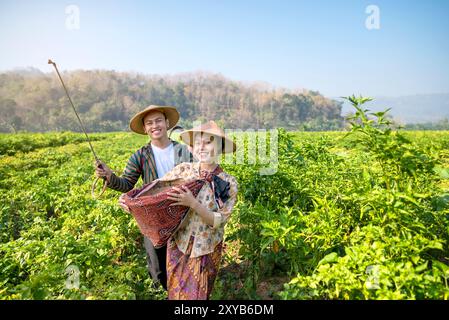 Indonesian farmers people are standing in a field of chili plants. One of them is holding a basket Stock Photo