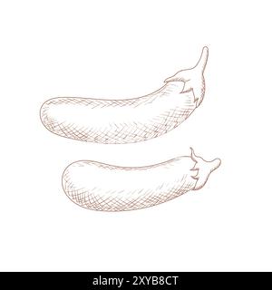 Vintage Hand Drawn Sketch Eggplant Vegetable Illustration Vector Stock Vector