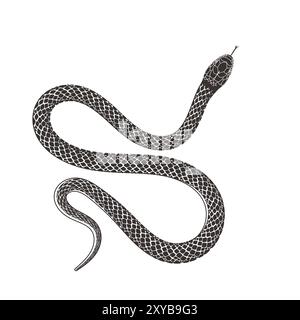 Isolated Black Serpent Snake Silhouette Illustration Vector Tattoo Design Stock Vector